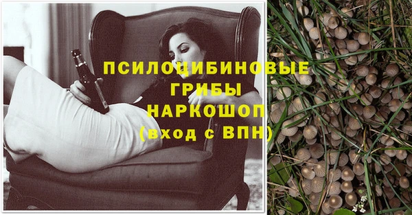 дживик Ростов