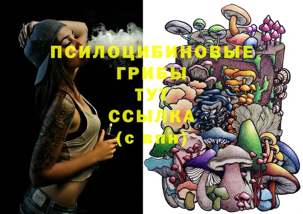 дживик Ростов