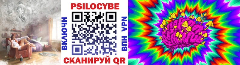 Псилоцибиновые грибы Psilocybine cubensis  Хилок 